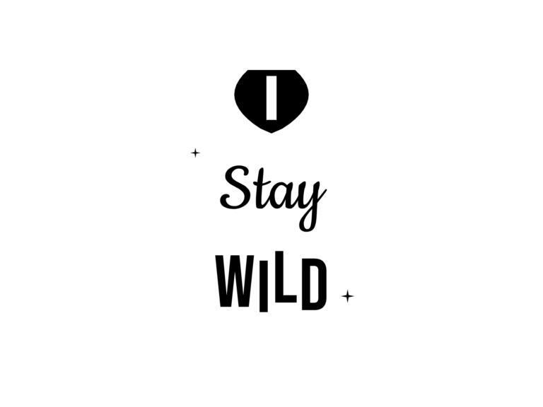Stay WILD — hand-lettered SVG cut file